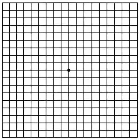 AnyConv.com Amsler Grid